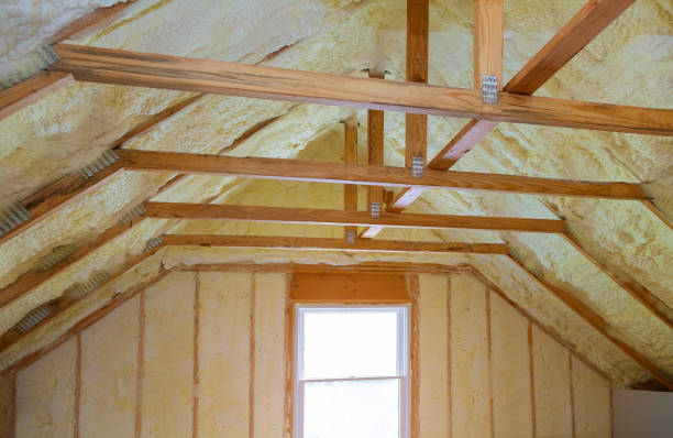 Best Specialized Insulation Services in Manchester, VA